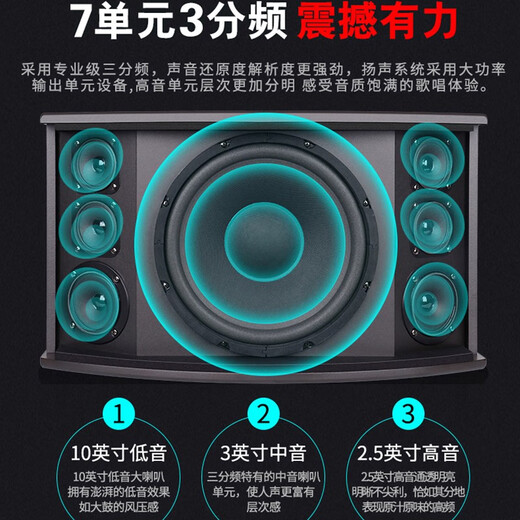 先科家庭ktv音响套装点歌机卡拉ok点唱一体机全套会议室家用家庭影院K歌全套电视客厅专业唱歌组合音箱 10寸14单元音响+功放+充电话筒