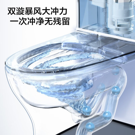 Jomoo Jiumu Baño Batillo Glaze para el baño Siphon Syphon Baño de ahorro de agua INAUMENTO ORDINARIO 1396 SIPHON IMPACT MODEL 1396 Instalación del modelo de impacto de sifón 305 mm '