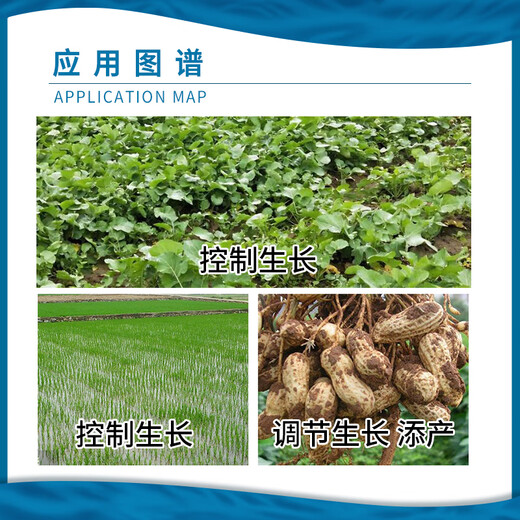 Jianpai Jianpai 15% paclobutrazol rice seedling field rapeseed control growth peanut growth regulator 35g