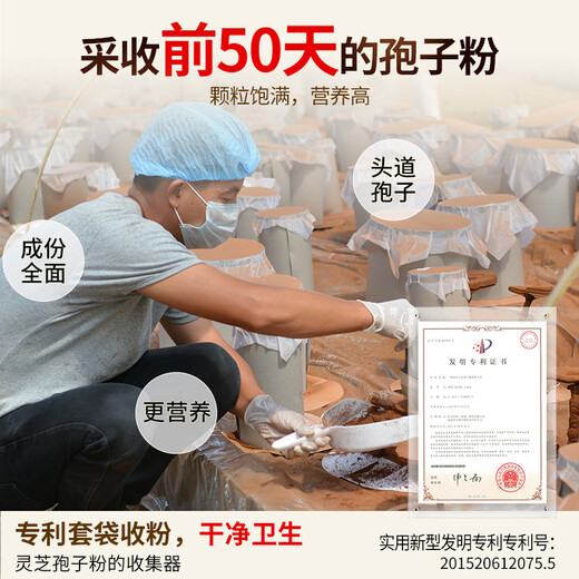 Xianzhilou [Gift recommendation] Four organic broken wall Ganoderma lucidum spore powder to enhance immunity Nutritional products Health products 1 box 60g [High triterpenes] Immunity innovation