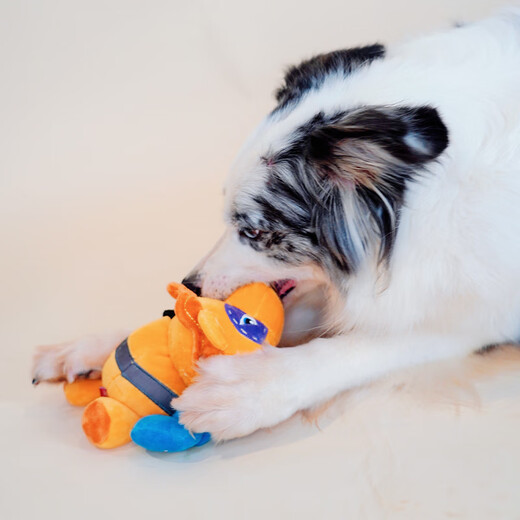 GiGwi dog toy gold medal boxer lion vocal plush bite-resistant teeth-relieving dog toy pet toy