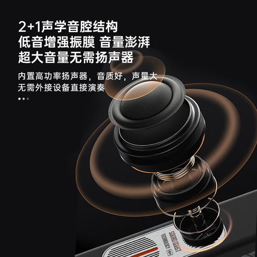 圣锐SR6000电吹管新款中老年人初学乐器电萨克斯葫芦丝吹管 黑色 标配