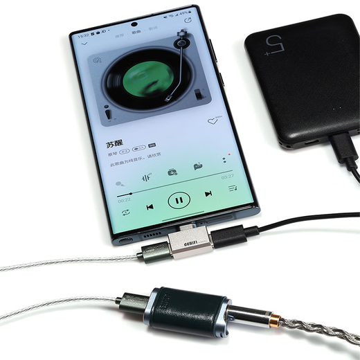 DDHIFI Professional Audio TC28C Pro Dual Type-C/TC28i Pro/TC28i M2 Lightning to Type-C Rechargeable OTG Transmission Belt Adapter TC28C Pro Dual TYPE-C