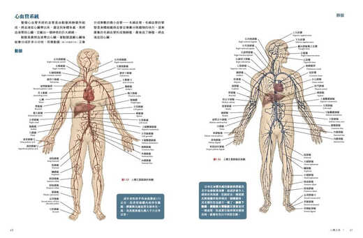 Spot Human Anatomy Book (troisième édition) avec démonstration DVD Andrew Bell Version taïwanaise Musculo-squelette pour la peau, plus de 1 300 photos sont disponibles