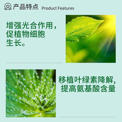 Guoguang Huasi 2% benzylaminopurine cell division flower bud differentiation factor popping bud popping plant growth regulator 25ml