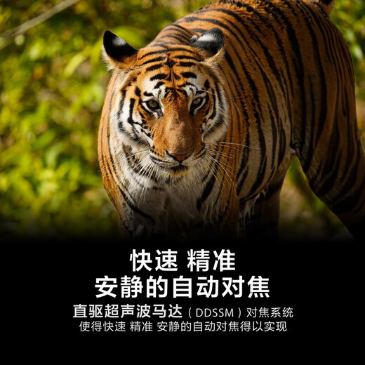 Sony (SONY) full-frame telephoto telephoto landscape/bird hunting super telephoto lens FE200-600mmF5.6-6.3G OSS official standard configuration