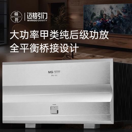 Meg Gravity Cat Ge pa101 FET A Kategorie A Hochleistungsmono HiFi -Fieber Heckverstärker PA101