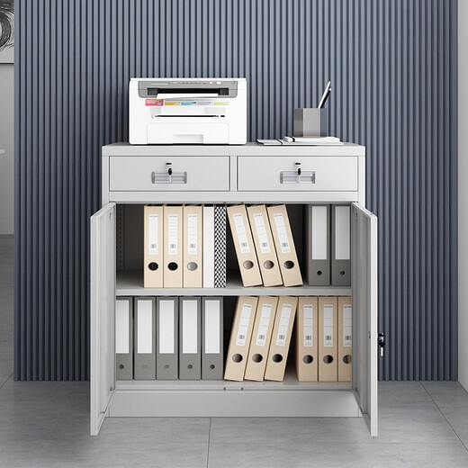 Xinjing file cabinet office iron cabinet low cabinet storage cabinet with lock information cabinet steel tool cabinet two drawer cabinet 0.5