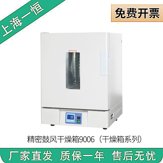 Renjuyi customized DHG-9070A/9075A/9140A/9145A/9240A Electric-thermal constant temperature blow drying box DHG9203A(250)