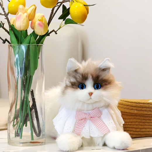 Simulierte Katzenpuppen, Ruffian -Katzenpuppen, Puppen, Kätzchen Plüschspielzeuggeschenke für Freundinnen am Valentinstag, Ragdolls, Katzenpuppen, Standardstil 38*22 cm