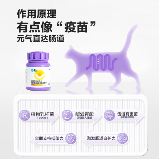 Weishi Maolichang 200 Tablets Compound Probiotics Intestinal Bao for Pet Cats Gastrointestinal Care Easy-to-Absorb Small Peptide Nutritional Tablets