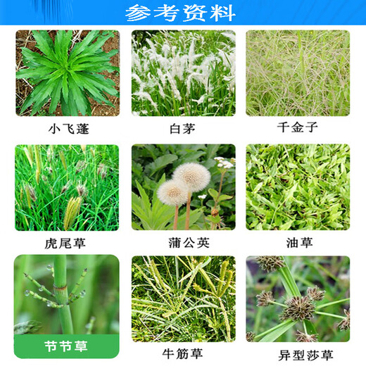 Shurong Crop Strange Knife 90% 2-methyl glyphosate glyphosate wasteland pen tube grass malignant weed exterminating root rot pesticide herbicide
