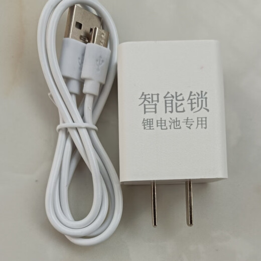 通用锂电池ZNS-04智能锁电池通用9896指纹锁电池Li-ion电子锁门锁 通用电池+专用充电器(新日期) 最新生产日期