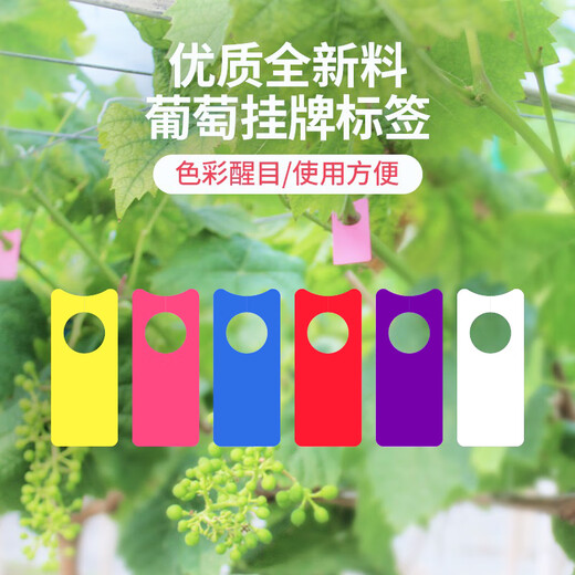 Shipton grape fruit protection label gardening plant tag watermelon pollination mark flower ring buckle melon and fruit gardening mark card red 10000 sheets new thickened material
