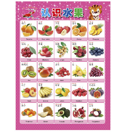 Popular Enlightenment Early Education Wall Chart Chinese Pinyin Alphabet Wall Chart Wall Sticker for Early Years to First Grade Consonants and Finals Training Children Learning Artifact Baby Fruit Types
