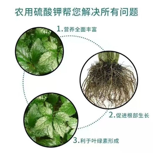 Agricultural Potassium Sulfate General Fertilizer for Fruit Trees and Vegetables Fully Water-Soluble Potassium Fertilizer Nutritional Quick-acting Potassium Sulfate 50kg 50Jin Jin is equal to 0.5kg Packed