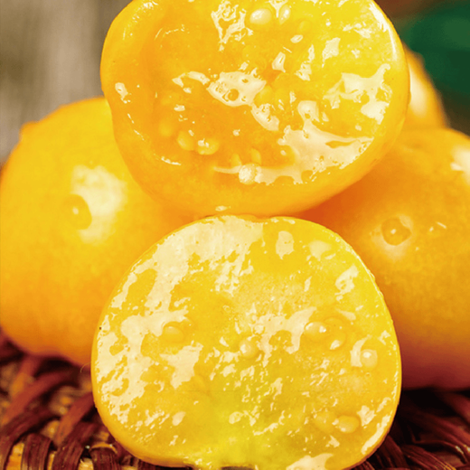 Bohui mushroom seeds, yellow mushroom seeds, yellow mushroom seeds, berry skin, thick flesh, high sweetness, easy to plant in all seasons, 4 packs of mushroom seeds, 6 packs, free fertilizer