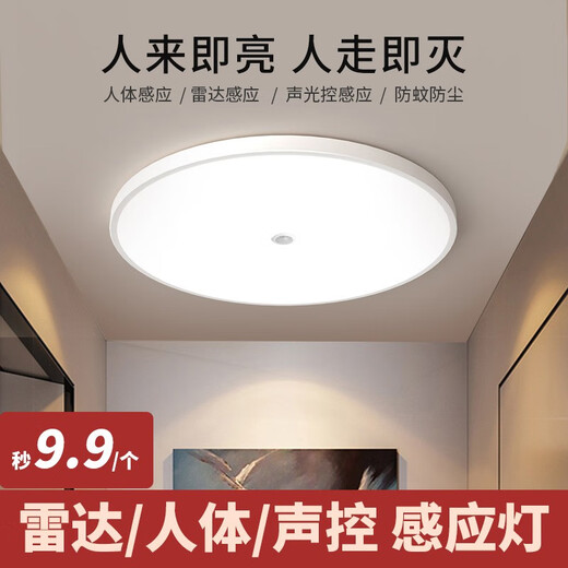 Shixia led three-proof sensor lamp voice-controlled human body sensor ceiling lamp radar sensor home stair aisle garage lamp 15W voice-controlled sensor 22*2cm