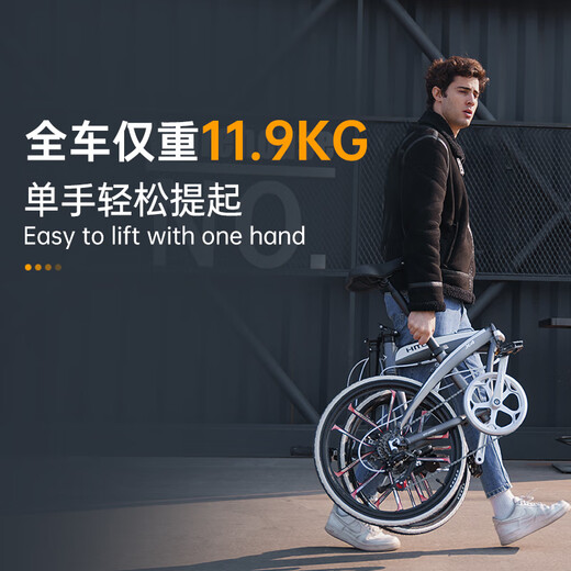 Hito Deutsche Marke 22-Zoll-Klapprad mit Ultra-Licht tragbares Fahrrad für Männer und Frauen Erwachsener Eltern-Kind-Auto-Getriebe-Rennrad [22 Zoll] Integrierte Rad Titanium