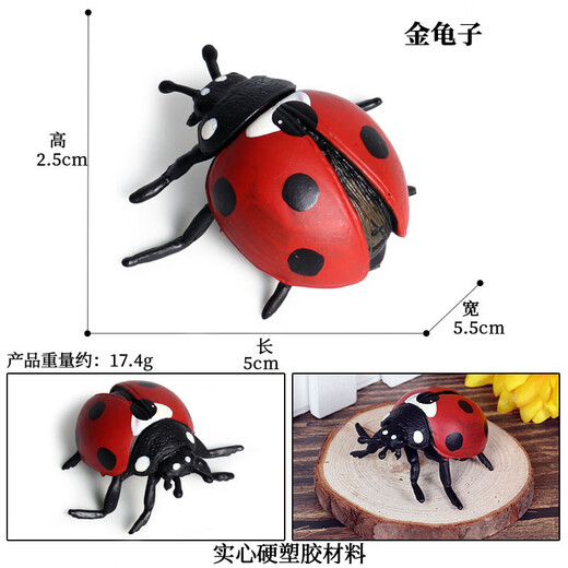 毅彩科教仿真动物昆虫模型玩具蜘蛛蚱蜢蝴蝶蜗牛沙盘场景摆件 M684巴西红丝绒蜘蛛[000