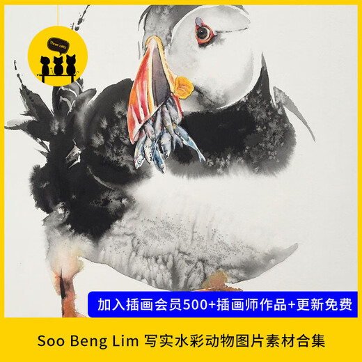 1522 Soo Beng im Realistisches Aquarelltier Katze Riesenpanda Bildmaterial 678 Teile