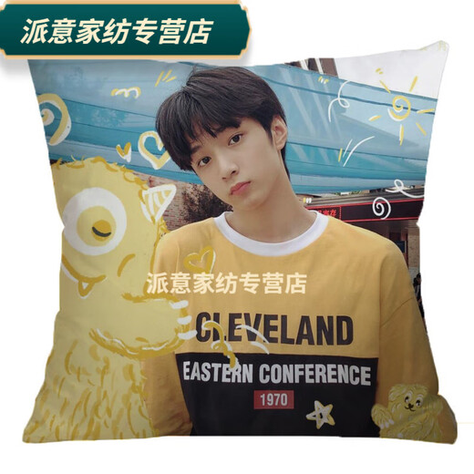 Rongtao Liu Yaowen peripheral pillows from the Youth League customized support dolls universal cushion creative birthday gift 01 60*60cm (small size) silky bright section