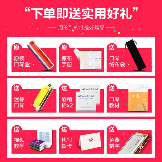 SUZUKI铃木口琴24孔复音C调高级男士入门初学者儿童学生专业演奏级乐器 24孔复音C调 金色+礼