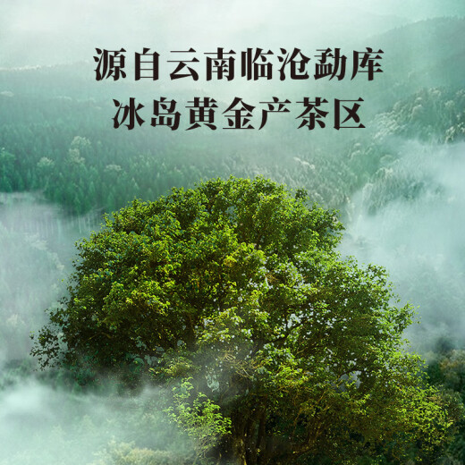 Bama Tea Industry Signature Pu'er Tea Iceland Small Gold Brick Yunnan Cooked Pu 300g Gift Boxed Tea Gift for 2021
