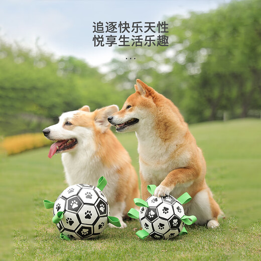 Front dog toy pet outdoor football border collie medium and large dog corgi interactive bite-resistant boredom relief training tour ball