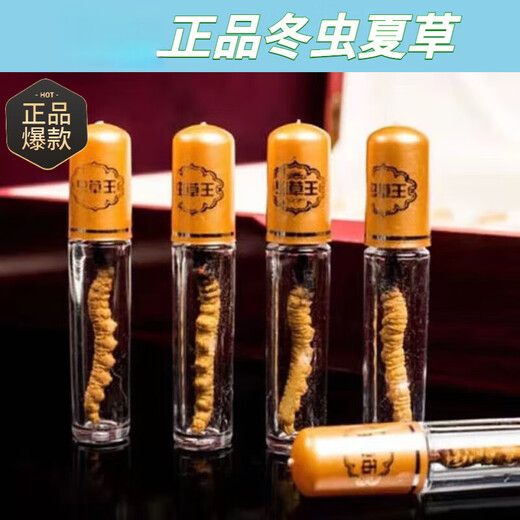 尔娅贝【官方店专营】【甄选冬虫夏草礼盒装送礼最佳品 （规格3-4根/ 甄选冬虫夏草【10根礼盒】送2根