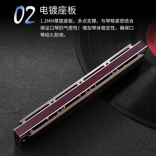 天鹅（SWAN）德国进口音簧高端重音口琴专业演奏级初学者成人复音C调 28孔 高端复音【带音标】浅木纹