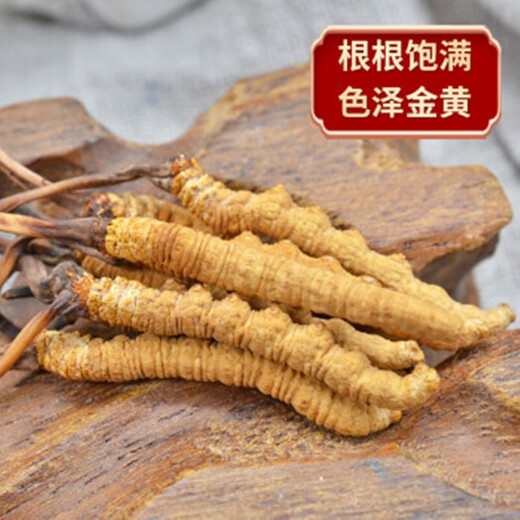3 snowy areas in the Xiongfengdao area/gram Cordyceps sinensis Cordyceps gift box 25 grams pack 80 real hair