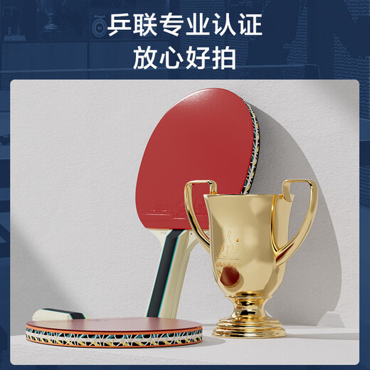 京东京造 雨燕一星乒乓球拍双拍2只装横直对拍训练套装双面反胶1星 横直板