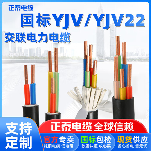 Chint YJV câble spécial de pile de chargement 3*6 45 noyau 4 6 1016 mètre carré Chint 7KW triphasé nouvelle énergie norme nationale inspection 3*6 carré (1 mètre)