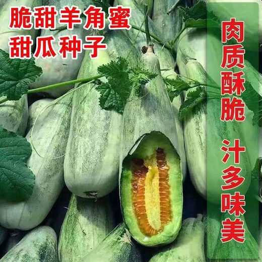 Super sweet croissant honey melon seeds, thin-skinned rock sugar melon seeds, four-season seeds, patio balcony potted fruit seeds, many people buy croissant honey seeds, high sweetness, popular store recommended quantity, 1 pack of about 100 seeds