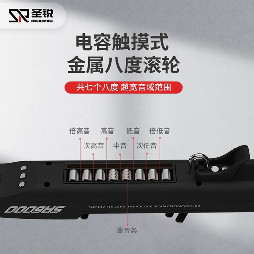 圣锐SR6000电吹管新款中老年人初学乐器电萨克斯葫芦丝吹管 黑色 标配