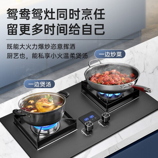 YANTT德国【上门安装】燃气灶天然气灶煤气灶双灶家用大火力猛火灶2.5加厚灶台台嵌两用灶具 2.5加厚精钢左边猛火定时款（683） 天然气