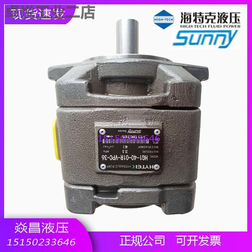 Hytec internal gear pump HG1-25/32/40/50/63-01R injection molding machine servo high pressure oil pump HG1-25-01R-VPC