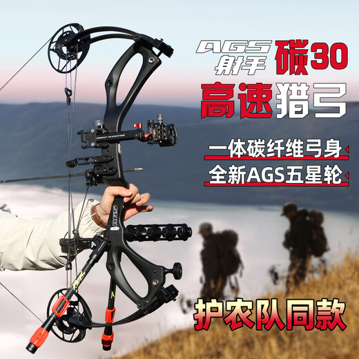 A Great ShooterAGS Shooter Carbon 30 Compound Bow and Arrow High Precision Archery Adult Hunting Non-Carbon Machsius PSE Archery Bow Black Gold Carbon 30-Glory Typhoon Set

