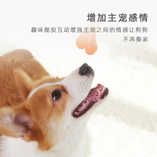 EETOYS Small Cheese Bone Dog Toy Funny Dog Molar Teeth Resistant Bite Stick Small Dog Type Dog Chew Pet Supplies