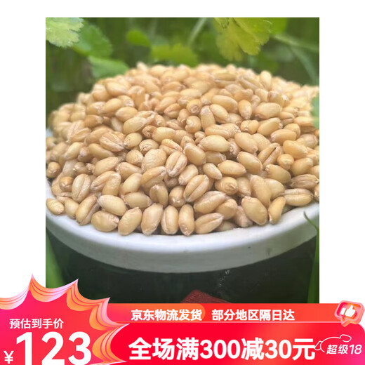 Wudeli No Additive Flour New National Standard Flour gbt1355-2021 Shaanxi Farmer Xiaojingyuan Self-Corrested Official Flagship Refined Powder 70 Flour 10Jin [Jin equals 0.5 kg] (2 packages)