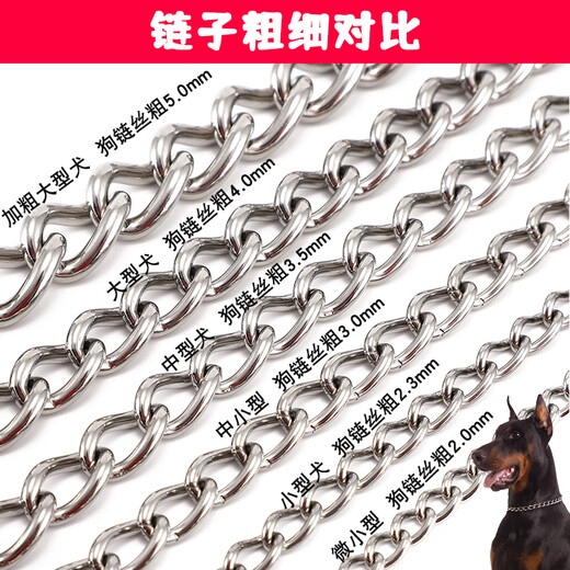 Wanlian 304 stainless steel dog chain traction rope large and medium-sized dog iron chain collar dog rope anti-biting bulldog dog chain 3.0mm