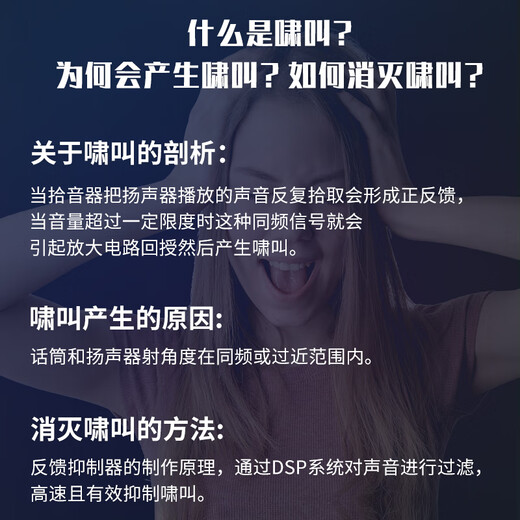 Depusheng LX2400 professional anti-howling feedback suppressor fully automatic conference microphone performance microphone frequency shift LX2600