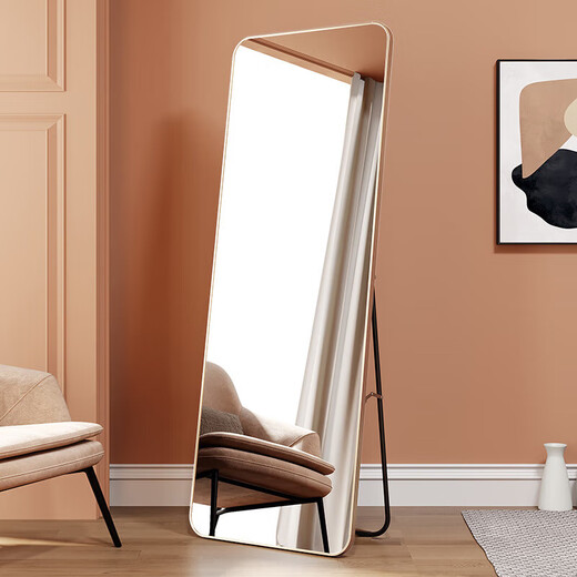 Xingkai Dressing mirror Full-body mirror Home bedroom fitting mirror Internet celebrity wall-mounted floor mirror JY89 gold 146*36