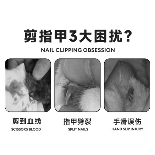 Anti-cutting small blind scissors cat nail clippers special pet cat small round hole novice nail clipper nail clipper small blind scissors blue and white double holes