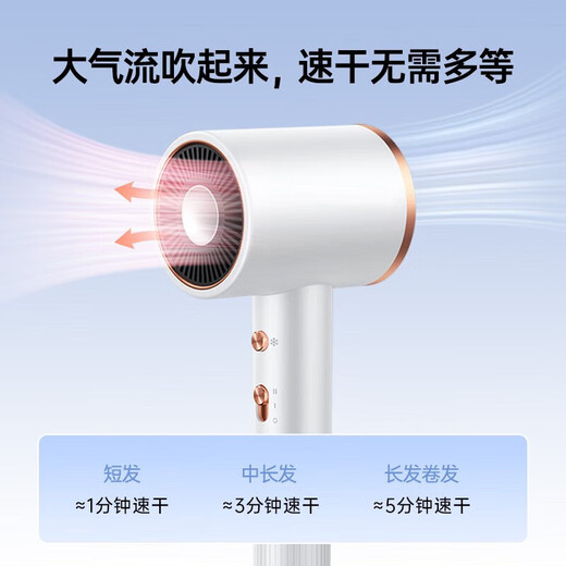 VTT hair dryer household negative ion hair care high-wind hair dryer campus silent portable high-speed high-power quick drying does not hurt hair growth send girlfriend birthday gift high version / white - comes with magnetic suction nozzle + drying cap gift box style
