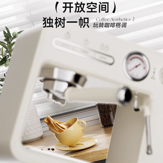 
Snow Trouble [National Subsidy] ST-693 Home Italian Coffee Machine Small Semi-Automatic Concentrated American Integrated with Steam Milk Foam Italian Art Coffee Machine Personalized Coffee