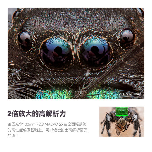 Mingjiang 100mm F2.8 macro lens, full frame, insect and flower photography, micro-SLR micro lens, Sony E-mount, official standard, free UV+ND