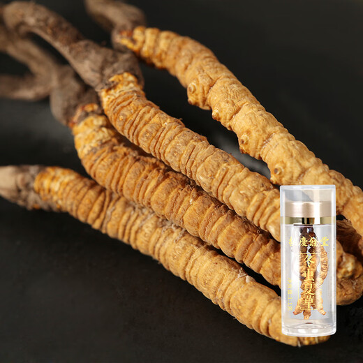 Hu Qingyutang Cordyceps sinensis gift box New Year gift box Tibetan high altitude natural growth nutritional supplements gift for elders 5.5g gift box