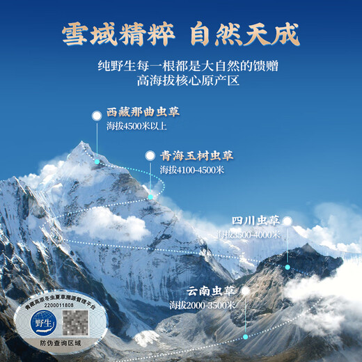 Guokuntang [Academy chinoise des sciences traçabilité] Cordyceps frais Sinensis Nagqu, Tibet. Boîte-cadeau Wild Souchue First Cordyceps Nagqu Nagqu Fresh Grass 0,8-1,0 g / Racine 100 Racines